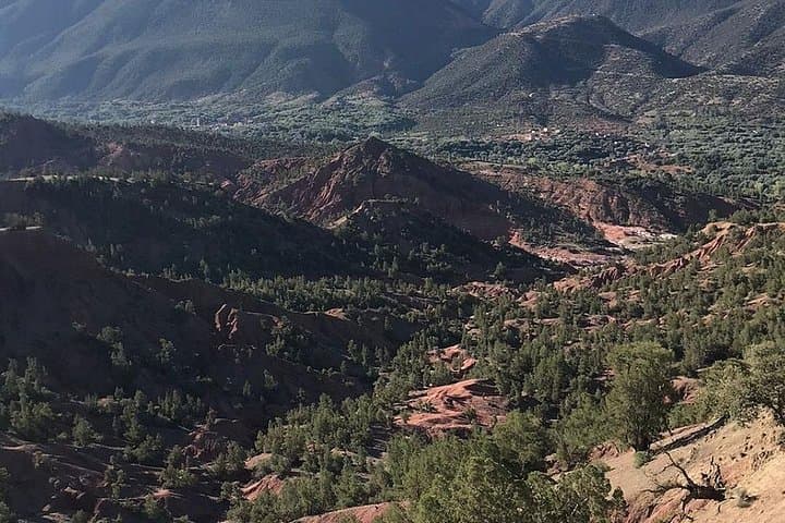 Ouirgan Valley Day Trip from Marrakech: Atlas Villages, Cedar Forests & Camel Rides photo 4