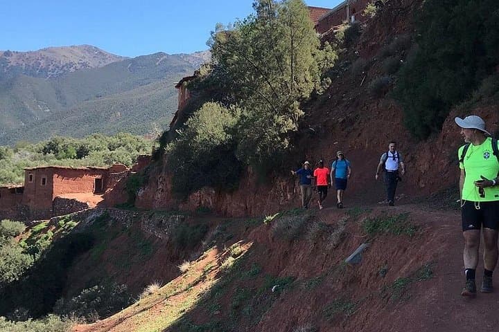 Ouirgan Valley Day Trip from Marrakech: Atlas Villages, Cedar Forests & Camel Rides photo 5