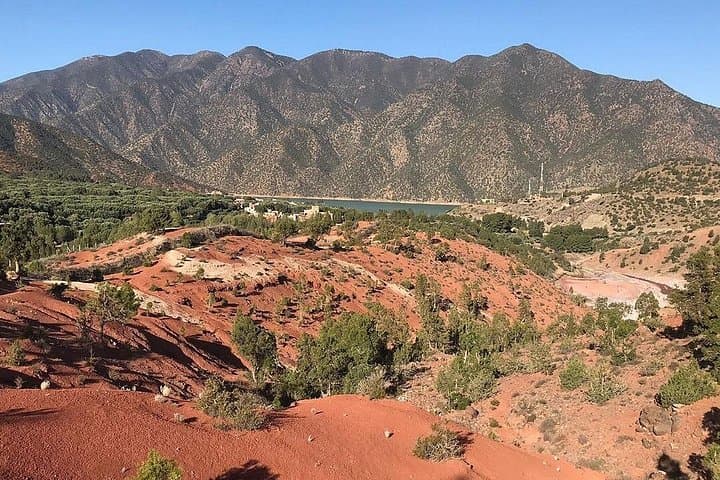 Ouirgan Valley Day Trip from Marrakech: Atlas Villages, Cedar Forests & Camel Rides photo 6