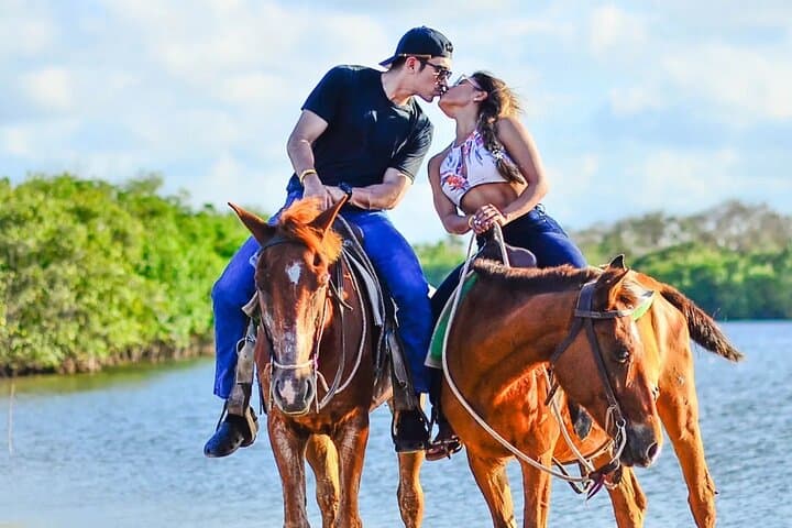 Unleash the Equestrian Spirit in Punta Cana: A Beachfront Horseback Adventure photo 5