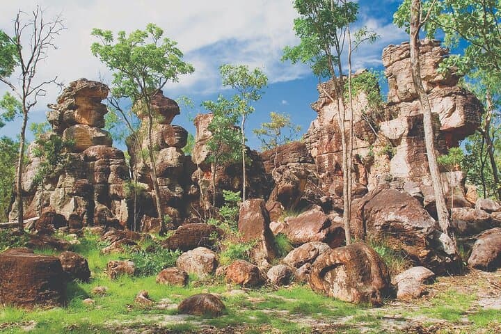 Litchfield Day Tour: Classic Waterfalls, Rockholes & Lost City photo 4