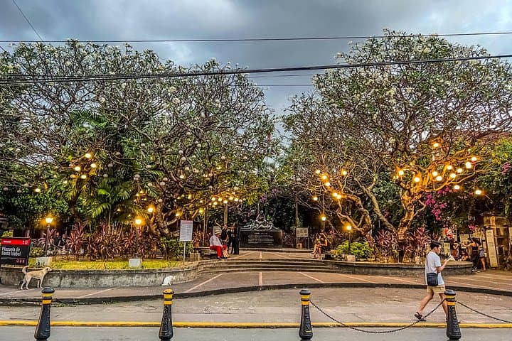 Private Manila Marvels Tour: Intramuros, Rizal Park & Binondo Photo Journey photo 6