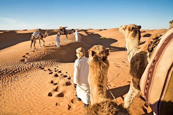 Private Evening Desert Safari in Dubai: Dune Bashing, Sandboarding & BBQ Under the Stars photo 1
