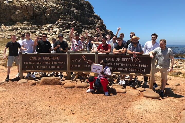 Cape Peninsula Day Trip: Penguins, Seals, Chapman’s Peak Drive & Constantia Wine Tasting