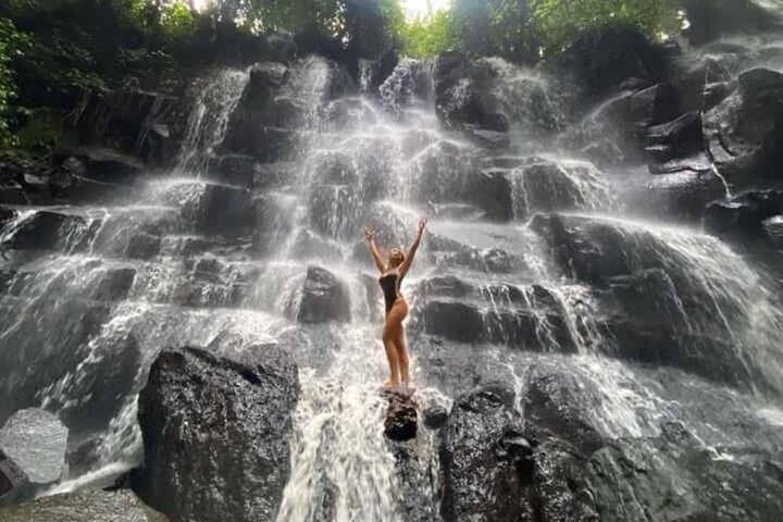 Ubud Waterfalls, Tegalalang Rice Terraces & Monkey Forest Day Tour photo 2