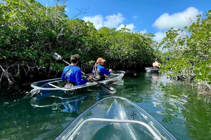 Clear Kayak Eco-Tour at Sugarloaf Key — See Florida Keys Marine Life photo 4