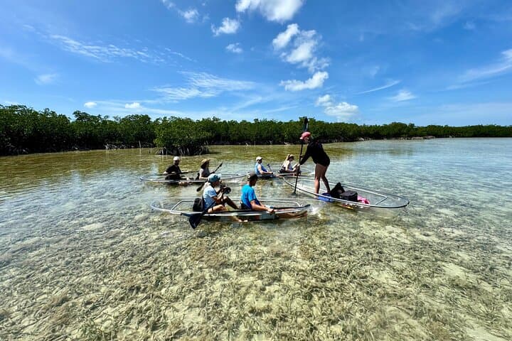 Clear Kayak Eco-Tour at Sugarloaf Key — See Florida Keys Marine Life photo 2