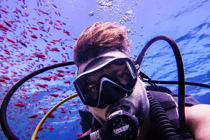Aqaba Red Sea Scuba: Private Guided Dives to Wrecks and Reefs