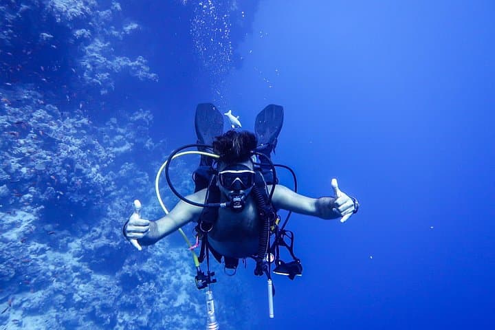 Aqaba Red Sea Scuba: Private Guided Dives to Wrecks and Reefs photo 5