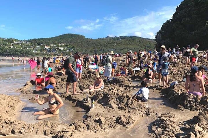 Cathedral Cove & Hot Water Beach: Coromandel Private Day Tour from Auckland photo 3