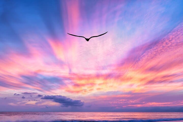 Private Luxury Sunset Cruise Waikiki: Exclusive Yacht Charter at Dusk photo 3