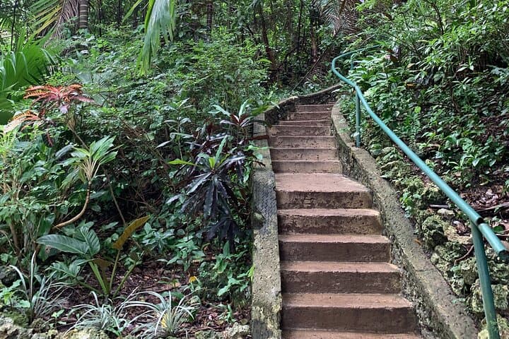 Barbados Flora, Fauna & Farm-to-Table Family Day: Welchman Hall, Hunte’s Garden & Peg Farm photo 4