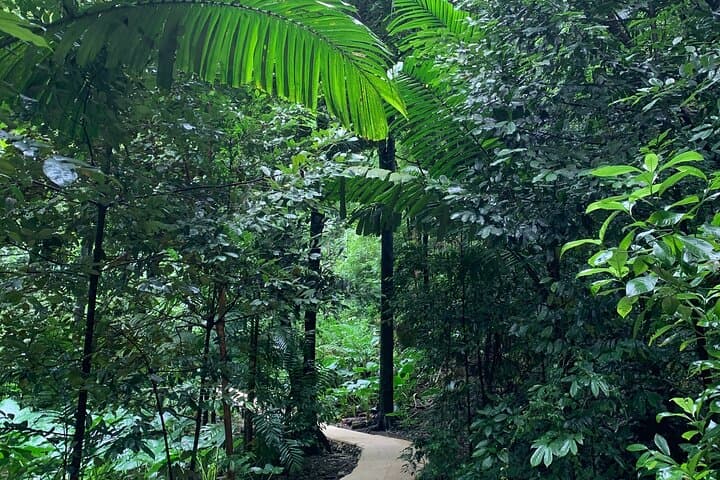 Barbados Flora, Fauna & Farm-to-Table Family Day: Welchman Hall, Hunte’s Garden & Peg Farm photo 5