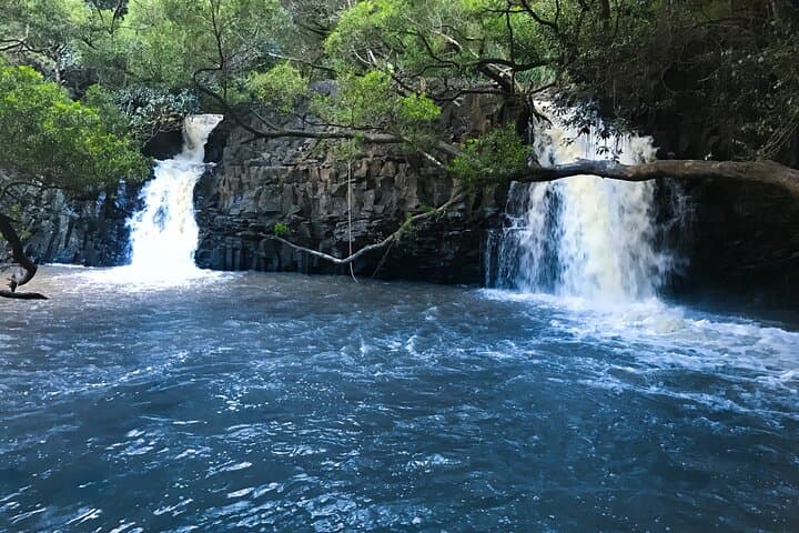 Road to Hana Full-Day Small-Group: Waterfalls, Black Sand & Hana Town photo 5