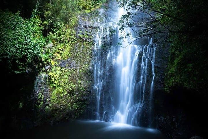 Road to Hana Full-Day Small-Group: Waterfalls, Black Sand & Hana Town photo 4
