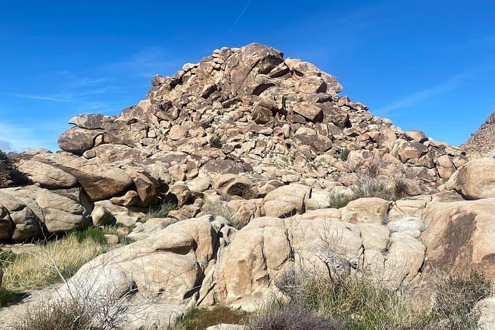 Joshua Tree Natural Wonders Walk — Plants, Wildlife & Desert Geology photo 3