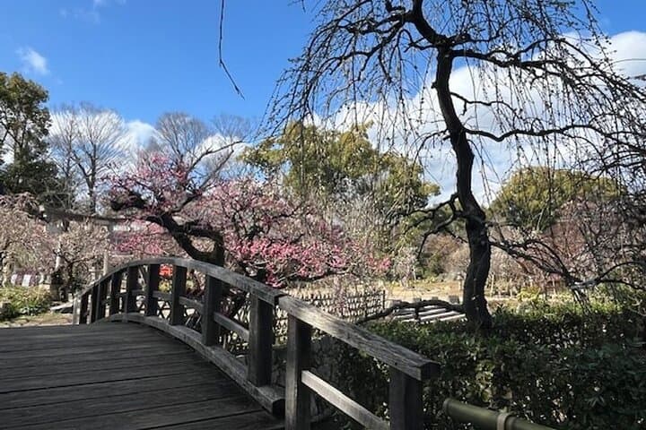 Early Bird Kyoto Half-Day Private Tour: Arashiyama, Kinkaku-ji & Ryoanji photo 4