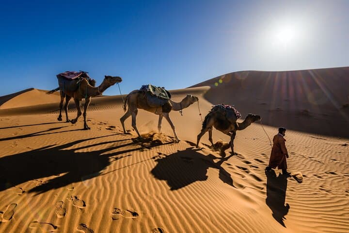 Dubai Evening Desert Safari: Dune Bashing, Sandboarding & Desert Camp Experience photo 5