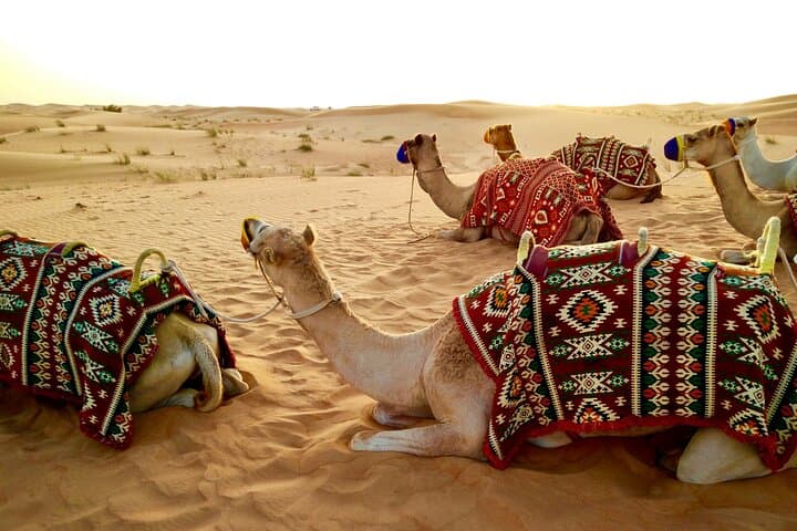 Dubai Evening Desert Safari: Dune Bashing, Sandboarding & Desert Camp Experience photo 6