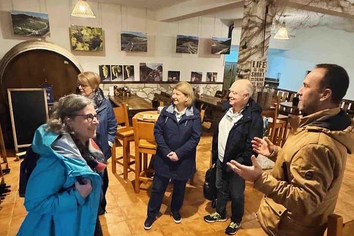 Ston to Korčula Day Trip: Wine Tasting, Oysters & Historic Walls