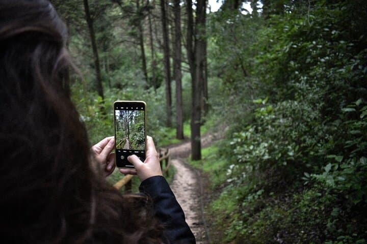 Stanley Park Self-Guided Smartphone Audio Tour: Seawall, Totems & Hidden History photo 5
