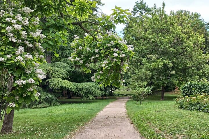 Padua Walking Tour: Top Sights, Hidden Gems & Local Secrets photo 6