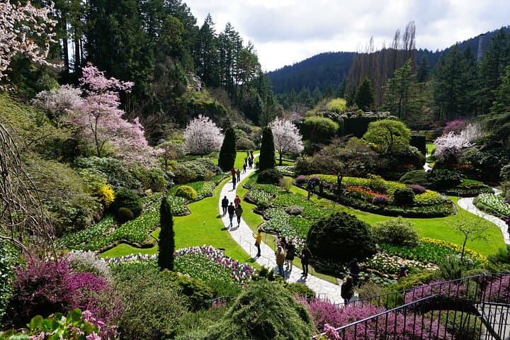 Victoria Day Trip: BC Ferries Crossing, Butchart Gardens & Downtown Victoria Highlights photo 3