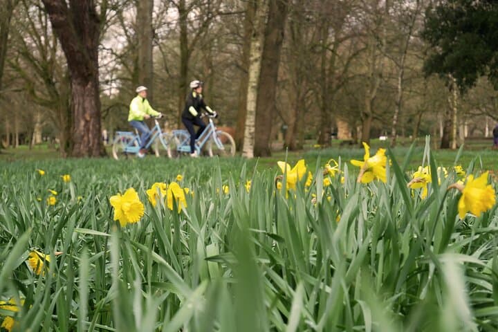 Guided Cycle Tours of Cardiff: City Sights, Bay Views & Local Stories photo 5
