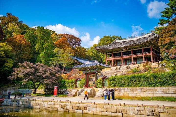 Private Custom Seoul Tours: Half-Day, Full-Day & Outskirts Options