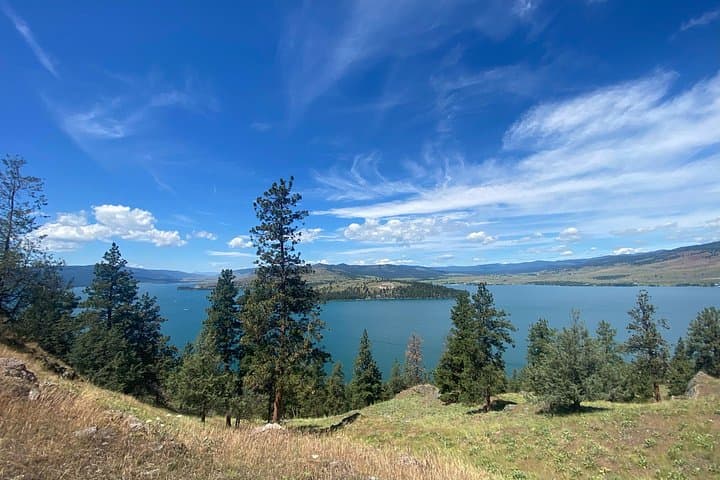 Wild Horse Island Kayak Tour on Flathead Lake — Paddle, Wildlife & Picnic photo 3