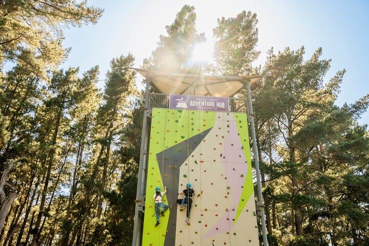 Thrill-Seeker’s Guide to Mount Lofty Adventure Hub: Rock Climbing, Ziplining & Mega Swing