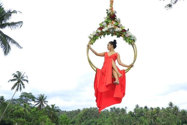 Best of Ubud Private Tour: Jungle Swing, Tegalalang & Monkey Forest