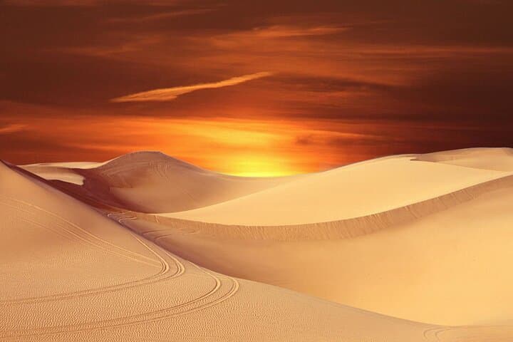 Sunrise Desert Safari in Dubai: 5-Hour Shared Lahbab Dune Experience photo 3