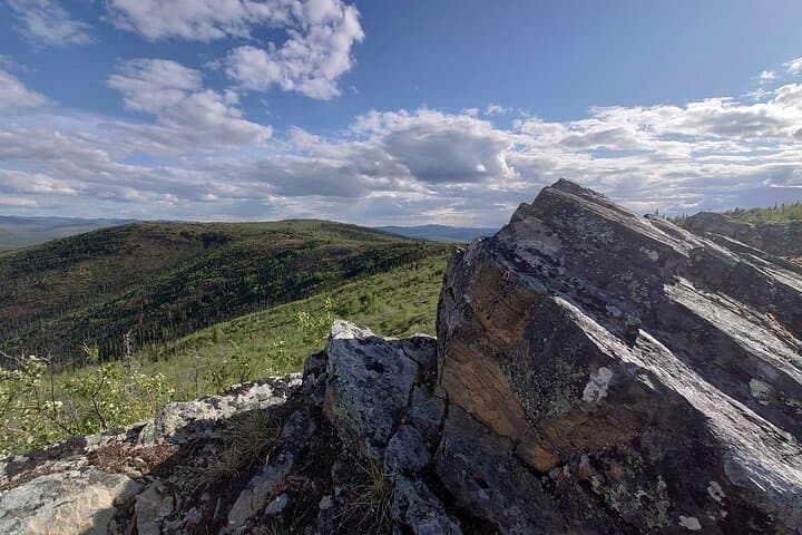 Denali Highway & Central Town Historical Tour from Fairbanks photo 4