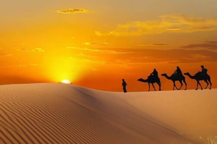 Evening Desert Safari & ATV Quad Biking with BBQ Dinner near Dubai photo 6