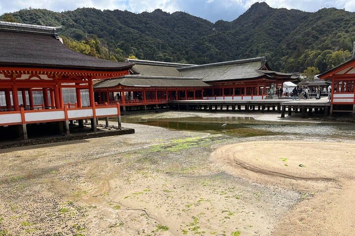 Half-Day Private Guided Tour to Miyajima: Explore Itsukushima Shrine & Free-Roaming Deer photo 5