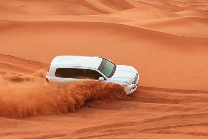 Private Dubai Evening Dune Bashing & Desert BBQ Experience photo 6