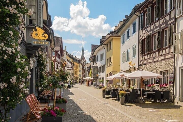 Rhine Falls & Stein am Rhein Half-Day Tour from Zurich photo 2