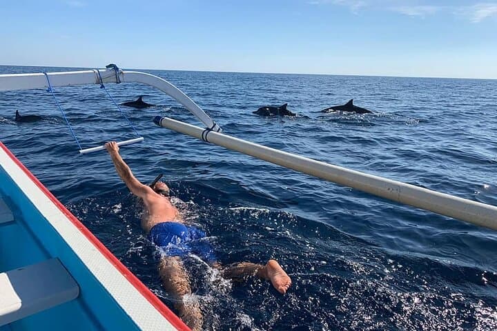 Lovina Dolphin Watching, Swimming & Snorkeling — North Bali Morning Boat Tour