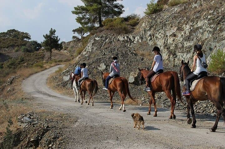Marmaris Super Combo: Quad Biking and Horse Riding Safari photo 6
