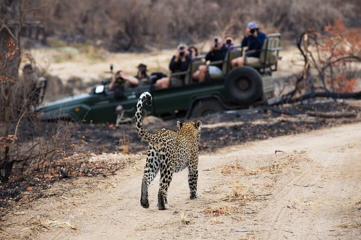6-Day Cape Town, Victoria Falls & Chobe Safari: Devil's Pool, Winelands & Zambezi Cruise photo 3