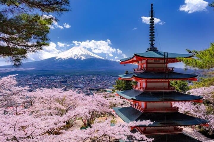 One-Day Mt. Fuji Private Tour from Tokyo — Kawaguchiko, 5th Station & Oshino Hakkai photo 2