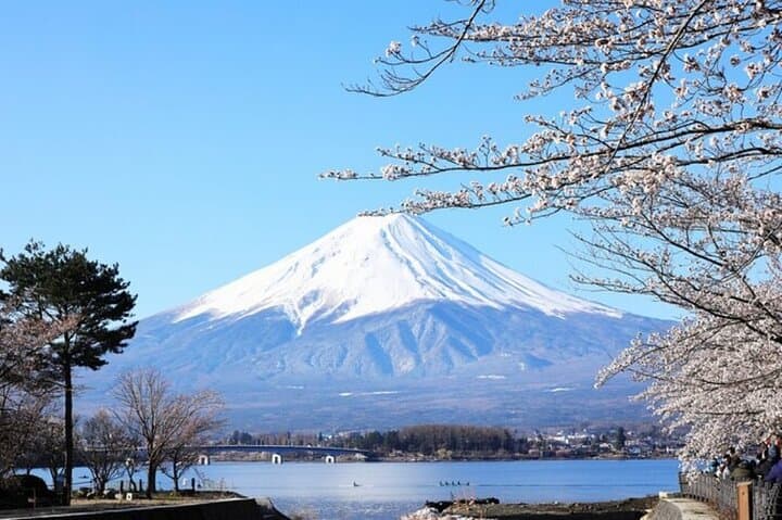 One-Day Mt. Fuji Private Tour from Tokyo — Kawaguchiko, 5th Station & Oshino Hakkai photo 4