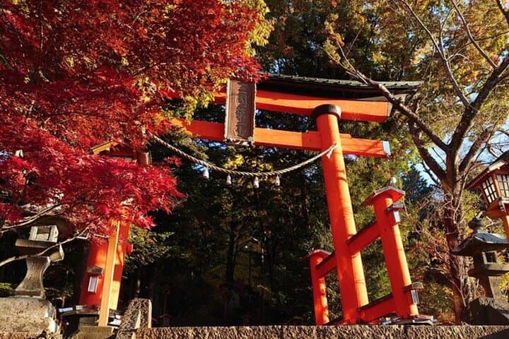 One-Day Mt. Fuji Private Tour from Tokyo — Kawaguchiko, 5th Station & Oshino Hakkai photo 5