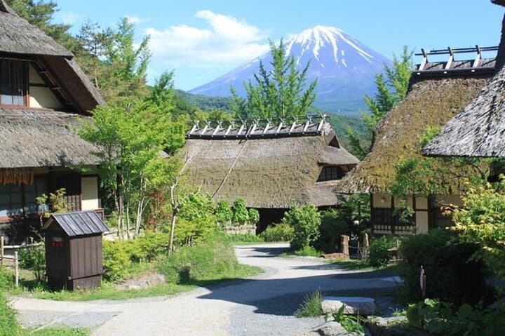 One-Day Mt. Fuji Private Tour from Tokyo — Kawaguchiko, 5th Station & Oshino Hakkai photo 6