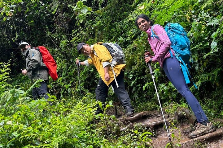 Private One-Day Trek to Mount Kilimanjaro: Mandara Hut & Maundi Crater Day Hike photo 2
