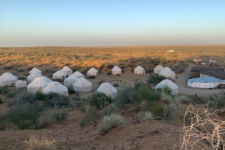 Yurt Camp Between Samarkand and Bukhara — Overnight Nomad Experience at Aydarkul photo 2