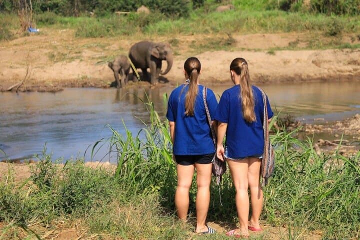 Doi Inthanon Day Tour: Ethical Elephant Sanctuary, Summit Pagodas & Pha Dok Saew Trek photo 5