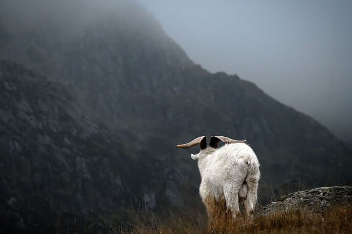 Snowdonia & Castles: North Wales Rail Tour from London photo 3