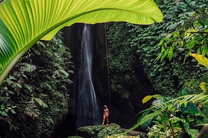 Northern Bali Private Day Trip: Tanah Lot, Jatiluwih & Ulun Danu